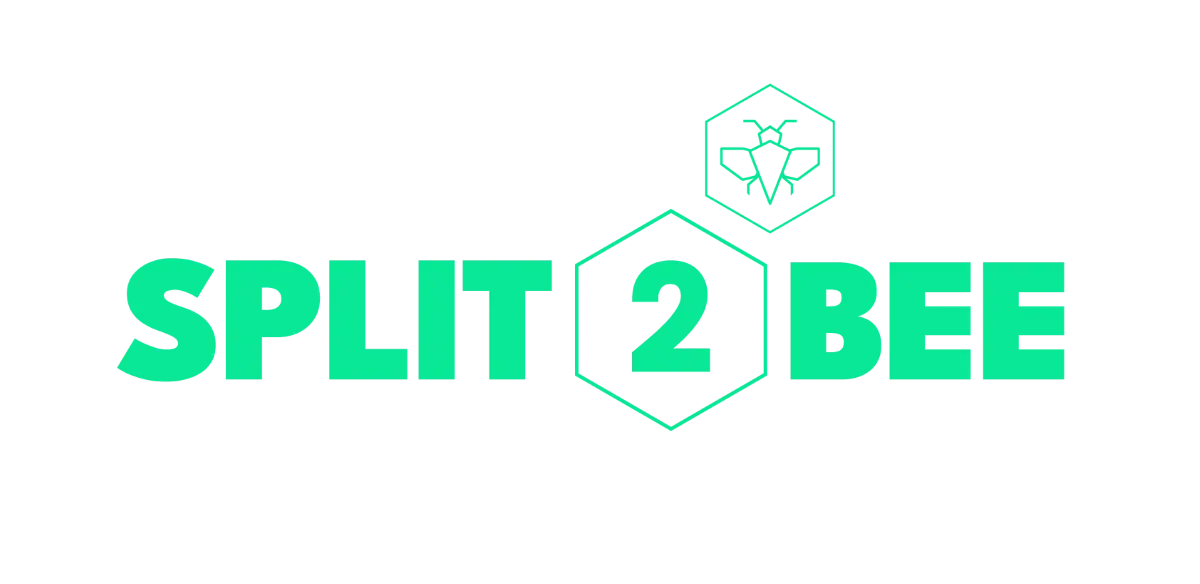 Split2Bee - Tokenizando el mundo real.